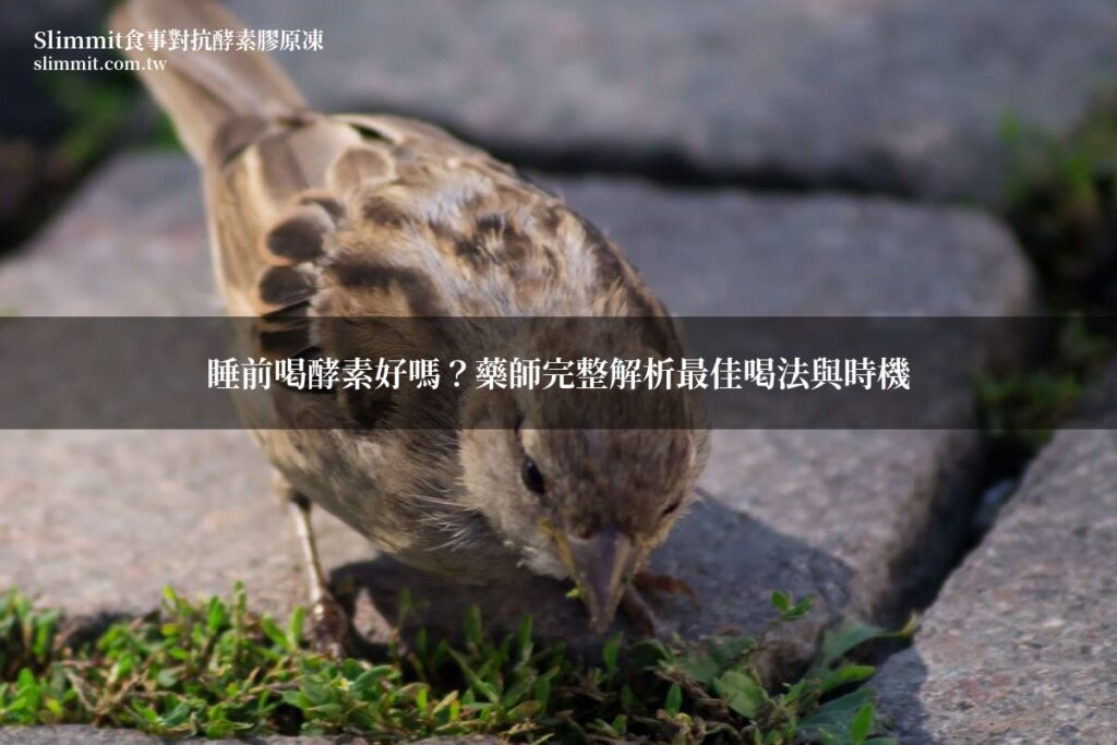 睡前喝酵素好嗎?藥師完整解析最佳喝法與時機 4 featured slimmit bedtime